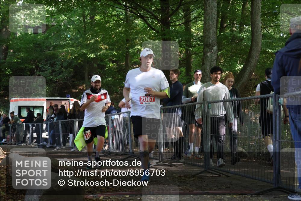 28.09.2025 - 33. Volkslauf durch das schöne Alstertal Strokosch-Dieckow http://msf.ph/oto/8956703 28.09.2025 12:53:10 Ziel 2067, 2510 meine-sportfotos.de