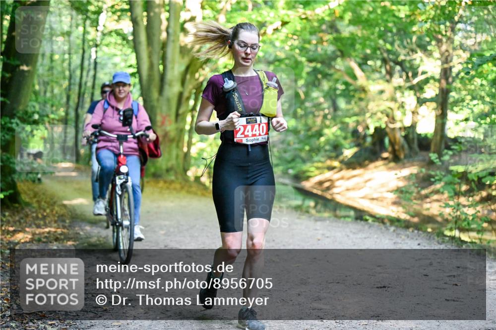 28.09.2025 - 33. Volkslauf durch das schöne Alstertal Dr. Thomas Lammeyer http://msf.ph/oto/8956705 28.09.2025 10:45:44 Laufen 2440 meine-sportfotos.de