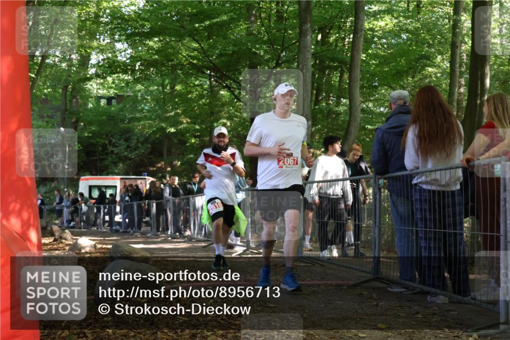 28.09.2025 - 33. Volkslauf durch das schöne Alstertal Strokosch-Dieckow http://msf.ph/oto/8956713 28.09.2025 12:53:11 Ziel 2067, 2510 meine-sportfotos.de
