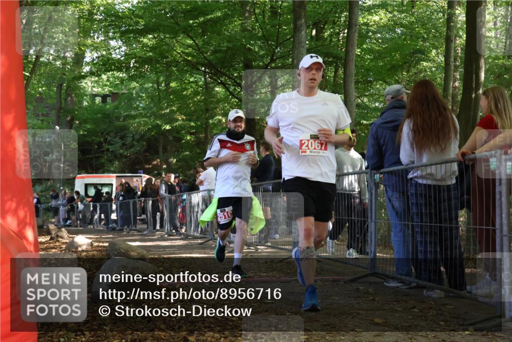 28.09.2025 - 33. Volkslauf durch das schöne Alstertal Strokosch-Dieckow http://msf.ph/oto/8956716 28.09.2025 12:53:11 Ziel 2067, 2510 meine-sportfotos.de