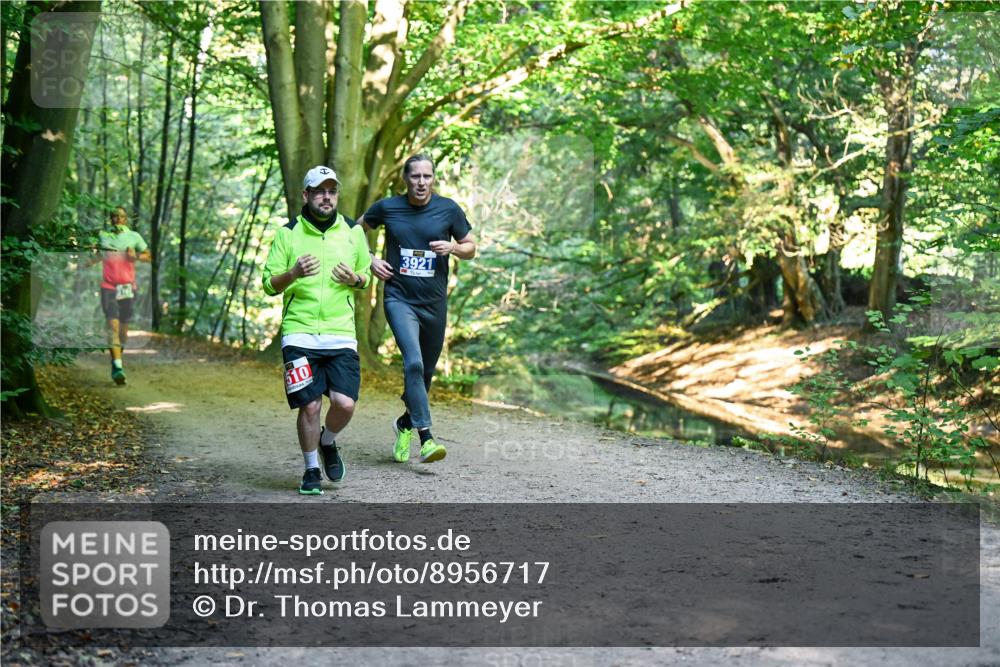 28.09.2025 - 33. Volkslauf durch das schöne Alstertal Dr. Thomas Lammeyer http://msf.ph/oto/8956717 28.09.2025 10:45:50 Laufen 510, 3921 meine-sportfotos.de