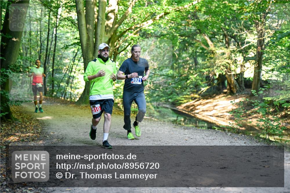 28.09.2025 - 33. Volkslauf durch das schöne Alstertal Dr. Thomas Lammeyer http://msf.ph/oto/8956720 28.09.2025 10:45:50 Laufen 2510, 3921 meine-sportfotos.de