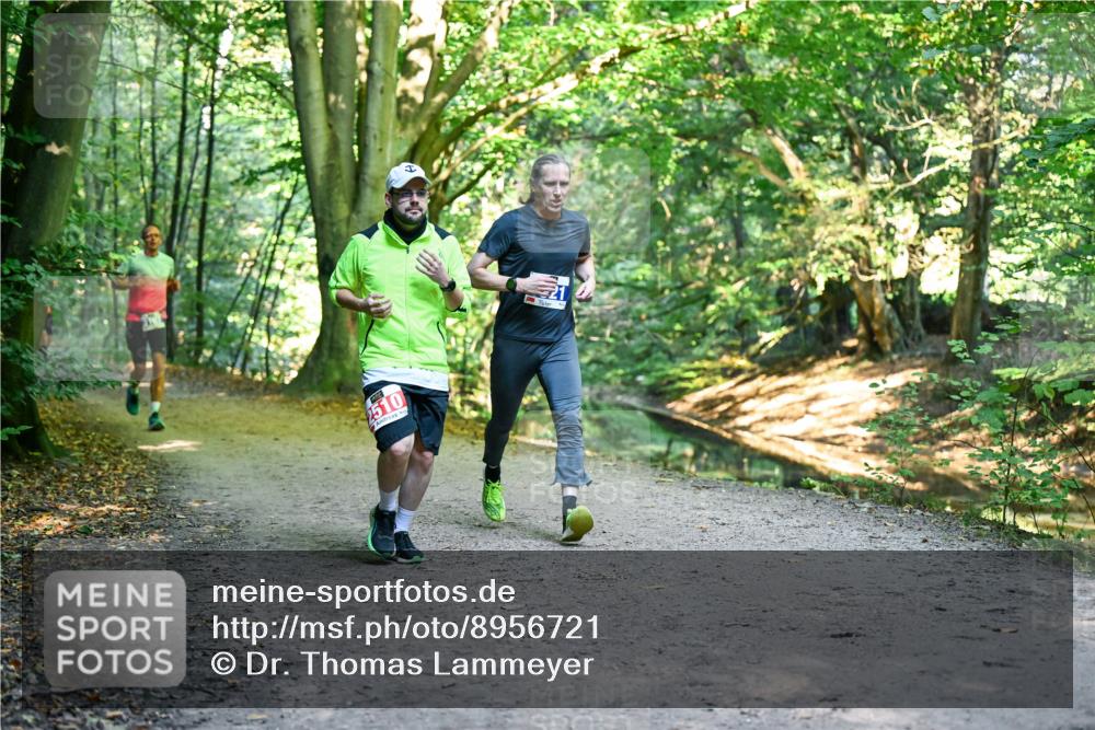 28.09.2025 - 33. Volkslauf durch das schöne Alstertal Dr. Thomas Lammeyer http://msf.ph/oto/8956721 28.09.2025 10:45:50 Laufen 2510 meine-sportfotos.de