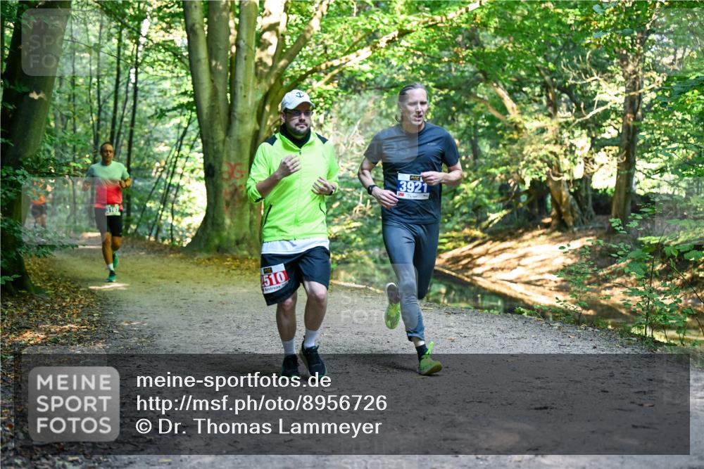 28.09.2025 - 33. Volkslauf durch das schöne Alstertal Dr. Thomas Lammeyer http://msf.ph/oto/8956726 28.09.2025 10:45:50 Laufen 3101, 510, 3921 meine-sportfotos.de