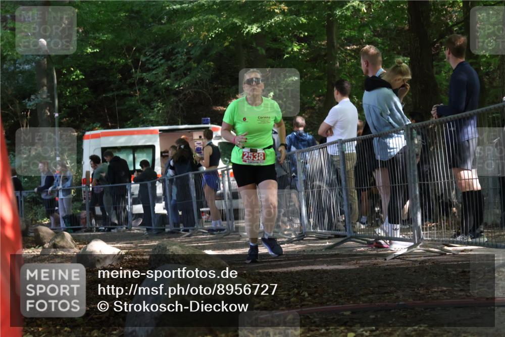 28.09.2025 - 33. Volkslauf durch das schöne Alstertal Strokosch-Dieckow http://msf.ph/oto/8956727 28.09.2025 12:53:44 Ziel 2538 meine-sportfotos.de