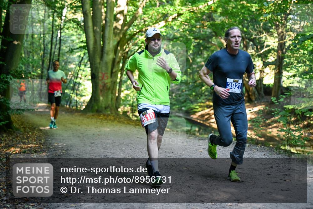 28.09.2025 - 33. Volkslauf durch das schöne Alstertal Dr. Thomas Lammeyer http://msf.ph/oto/8956731 28.09.2025 10:45:51 Laufen 2510, 3921 meine-sportfotos.de