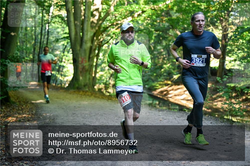 28.09.2025 - 33. Volkslauf durch das schöne Alstertal Dr. Thomas Lammeyer http://msf.ph/oto/8956732 28.09.2025 10:45:51 Laufen 510, 3921 meine-sportfotos.de