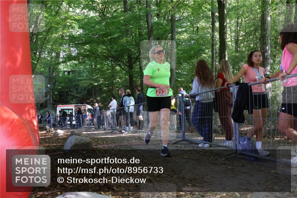 28.09.2025 - 33. Volkslauf durch das schöne Alstertal Strokosch-Dieckow http://msf.ph/oto/8956733 28.09.2025 12:53:47 Ziel 2538 meine-sportfotos.de