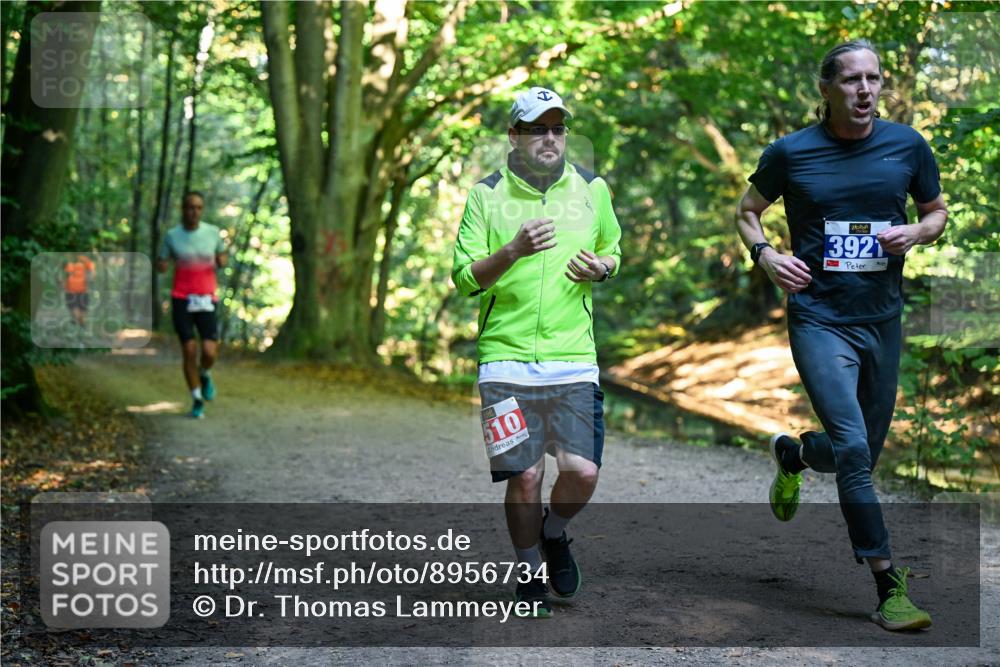 28.09.2025 - 33. Volkslauf durch das schöne Alstertal Dr. Thomas Lammeyer http://msf.ph/oto/8956734 28.09.2025 10:45:51 Laufen 510, 3921 meine-sportfotos.de