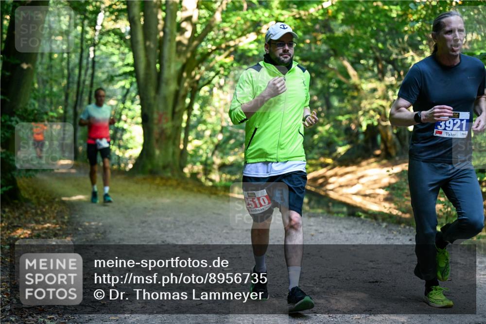 28.09.2025 - 33. Volkslauf durch das schöne Alstertal Dr. Thomas Lammeyer http://msf.ph/oto/8956735 28.09.2025 10:45:51 Laufen 510, 3921 meine-sportfotos.de