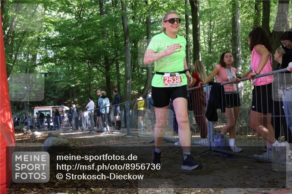 28.09.2025 - 33. Volkslauf durch das schöne Alstertal Strokosch-Dieckow http://msf.ph/oto/8956736 28.09.2025 12:53:47 Ziel 2538 meine-sportfotos.de