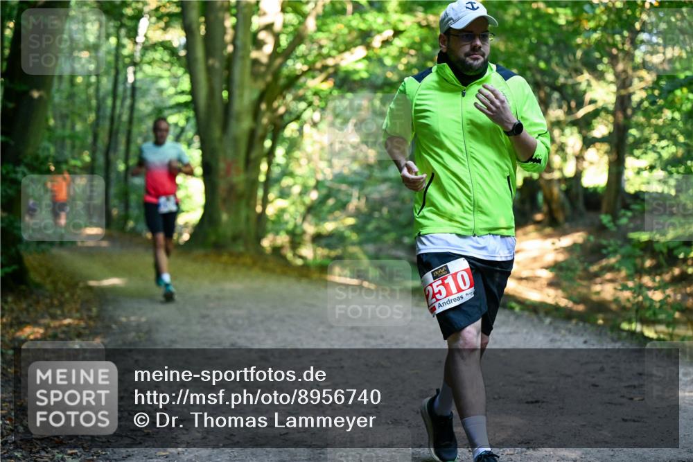 28.09.2025 - 33. Volkslauf durch das schöne Alstertal Dr. Thomas Lammeyer http://msf.ph/oto/8956740 28.09.2025 10:45:52 Laufen 2510 meine-sportfotos.de