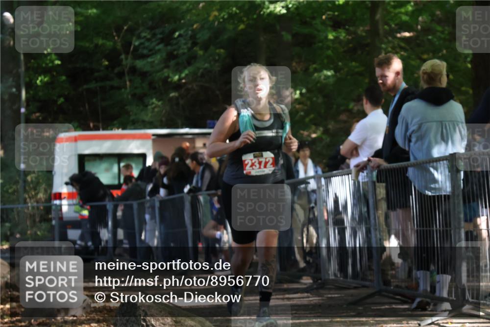 28.09.2025 - 33. Volkslauf durch das schöne Alstertal Strokosch-Dieckow http://msf.ph/oto/8956770 28.09.2025 12:54:44 Ziel 2372 meine-sportfotos.de