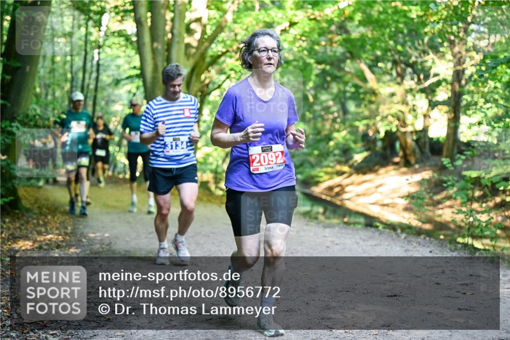 28.09.2025 - 33. Volkslauf durch das schöne Alstertal Dr. Thomas Lammeyer http://msf.ph/oto/8956772 28.09.2025 10:46:03 Laufen 3134, 7, 0, 2092 meine-sportfotos.de