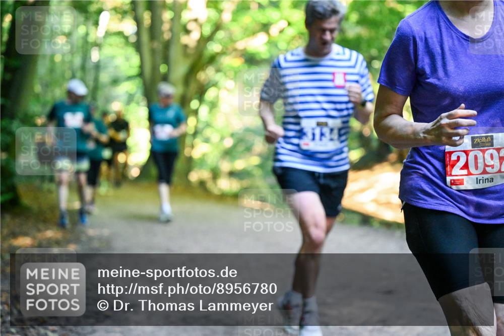 28.09.2025 - 33. Volkslauf durch das schöne Alstertal Dr. Thomas Lammeyer http://msf.ph/oto/8956780 28.09.2025 10:46:04 Laufen 2092 meine-sportfotos.de