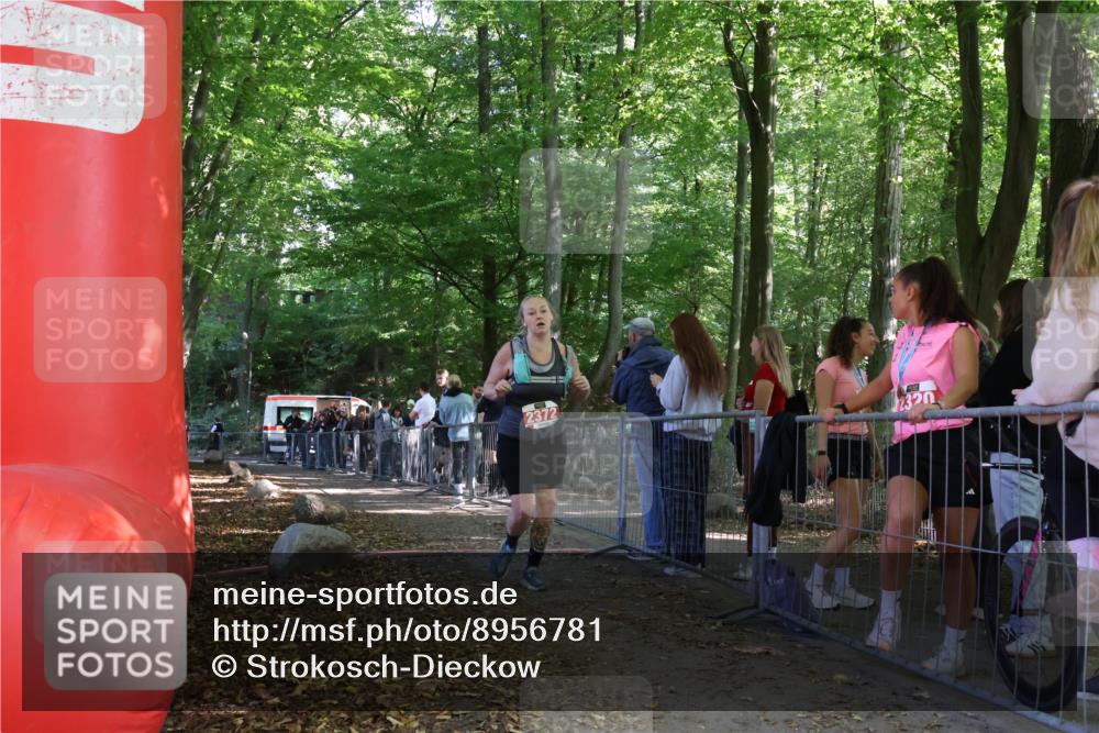 28.09.2025 - 33. Volkslauf durch das schöne Alstertal Strokosch-Dieckow http://msf.ph/oto/8956781 28.09.2025 12:54:48 Ziel 2372 meine-sportfotos.de