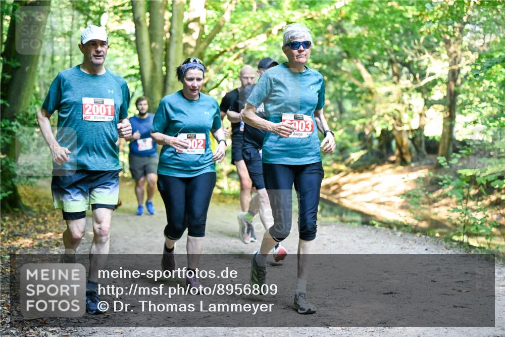 28.09.2025 - 33. Volkslauf durch das schöne Alstertal Dr. Thomas Lammeyer http://msf.ph/oto/8956809 28.09.2025 10:46:08 Laufen 2001, 902, 903 meine-sportfotos.de