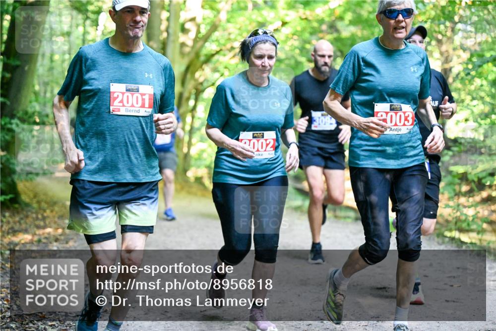 28.09.2025 - 33. Volkslauf durch das schöne Alstertal Dr. Thomas Lammeyer http://msf.ph/oto/8956818 28.09.2025 10:46:09 Laufen 2001, 3002, 2003 meine-sportfotos.de