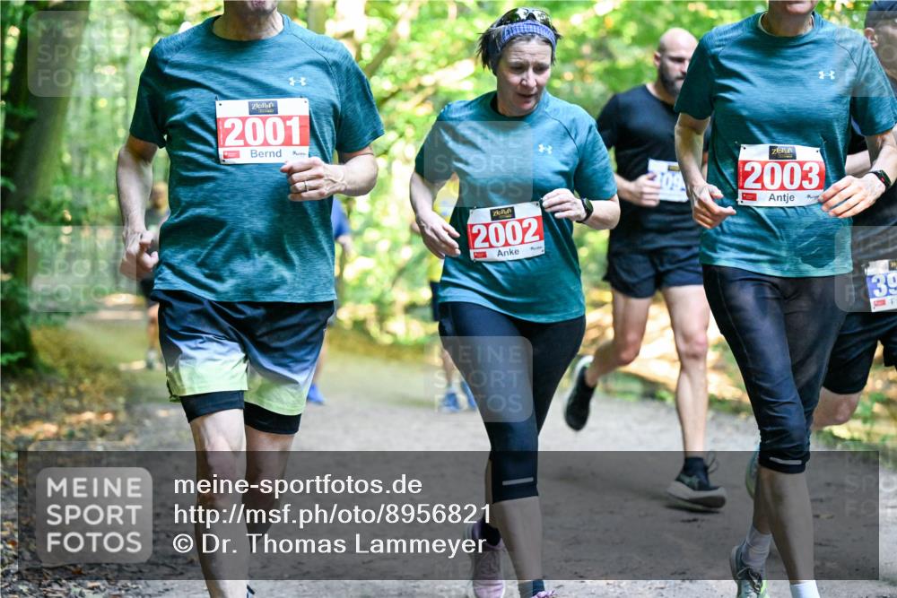 28.09.2025 - 33. Volkslauf durch das schöne Alstertal Dr. Thomas Lammeyer http://msf.ph/oto/8956821 28.09.2025 10:46:09 Laufen 2001, 2002, 2003, 39 meine-sportfotos.de
