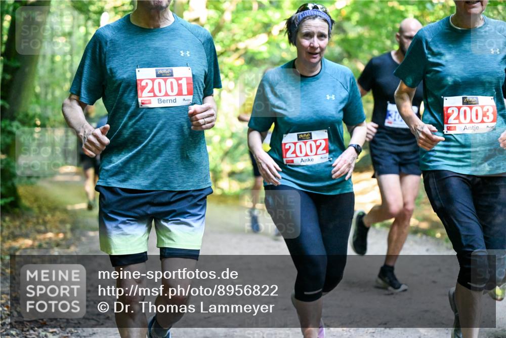 28.09.2025 - 33. Volkslauf durch das schöne Alstertal Dr. Thomas Lammeyer http://msf.ph/oto/8956822 28.09.2025 10:46:09 Laufen 2001, 2002, 2003 meine-sportfotos.de