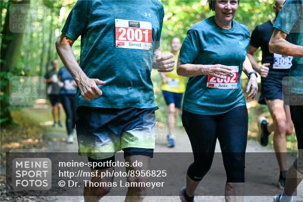 28.09.2025 - 33. Volkslauf durch das schöne Alstertal Dr. Thomas Lammeyer http://msf.ph/oto/8956825 28.09.2025 10:46:09 Laufen 2001, 2002, 3094 meine-sportfotos.de