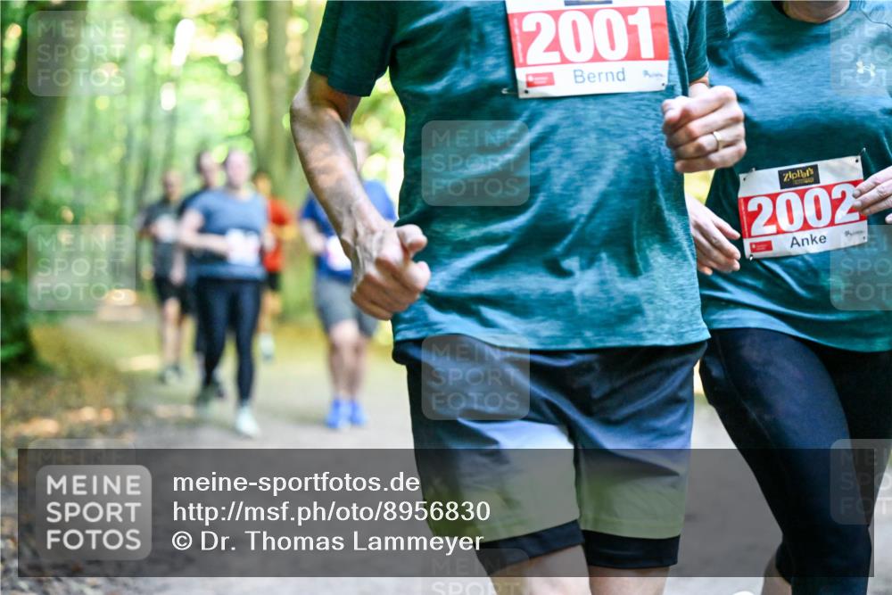 28.09.2025 - 33. Volkslauf durch das schöne Alstertal Dr. Thomas Lammeyer http://msf.ph/oto/8956830 28.09.2025 10:46:10 Laufen 2001, 2002 meine-sportfotos.de