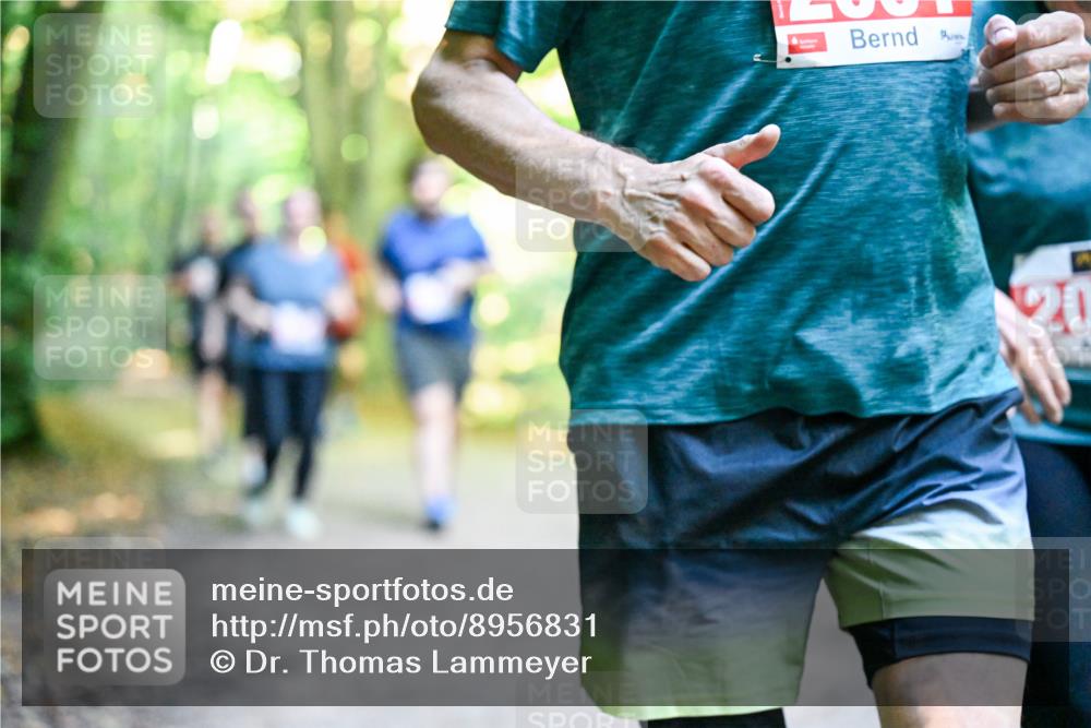 28.09.2025 - 33. Volkslauf durch das schöne Alstertal Dr. Thomas Lammeyer http://msf.ph/oto/8956831 28.09.2025 10:46:10 Laufen 20 meine-sportfotos.de