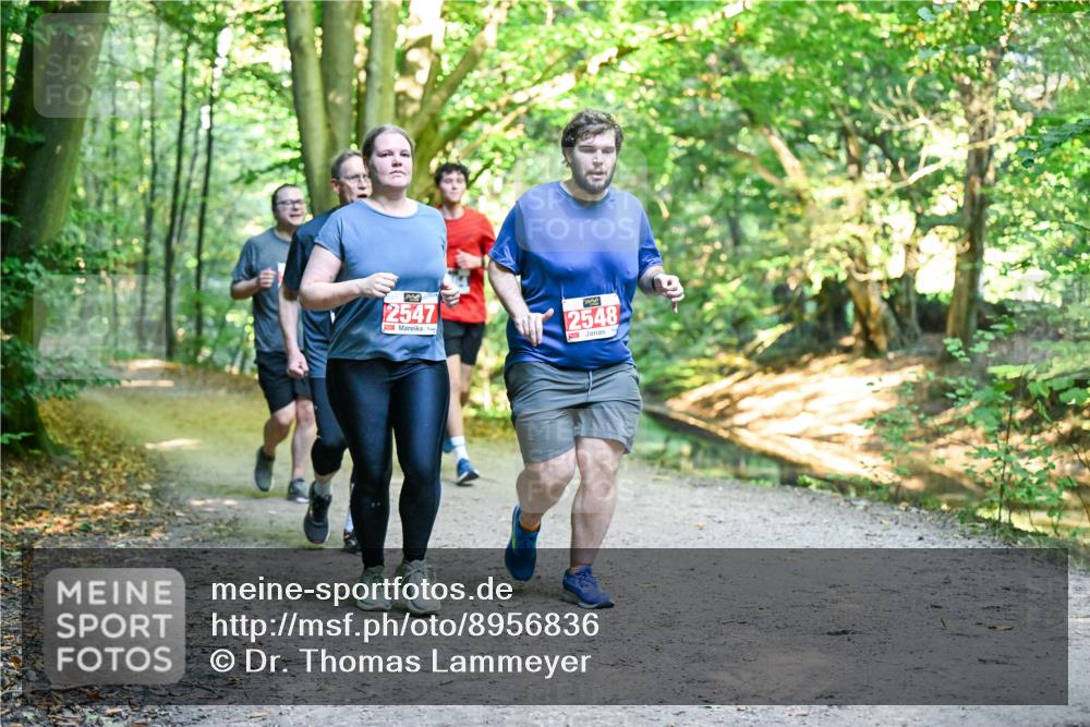 28.09.2025 - 33. Volkslauf durch das schöne Alstertal Dr. Thomas Lammeyer http://msf.ph/oto/8956836 28.09.2025 10:46:11 Laufen 2547, 2548 meine-sportfotos.de