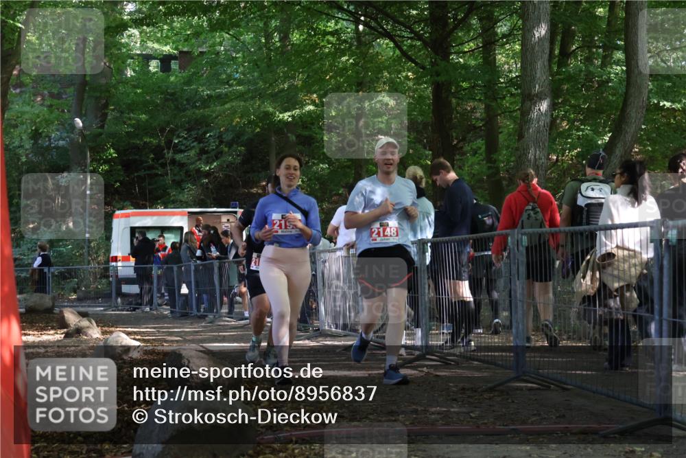 28.09.2025 - 33. Volkslauf durch das schöne Alstertal Strokosch-Dieckow http://msf.ph/oto/8956837 28.09.2025 12:55:18 Ziel 2122, 2148, 2193 meine-sportfotos.de