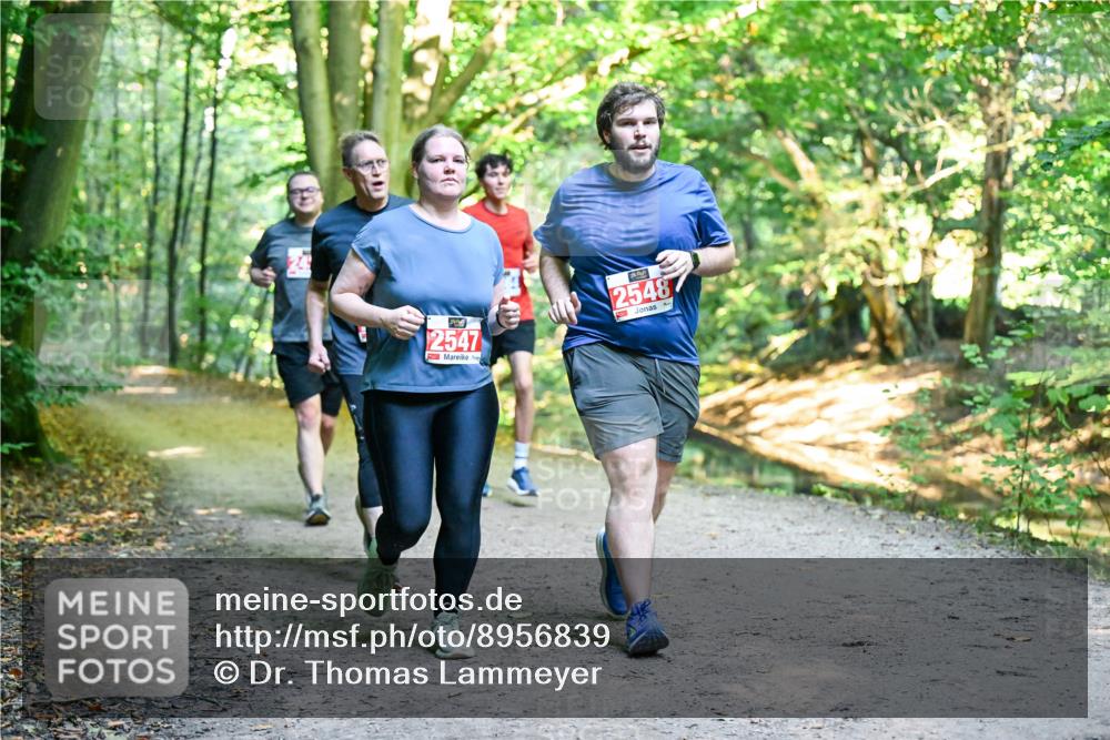 28.09.2025 - 33. Volkslauf durch das schöne Alstertal Dr. Thomas Lammeyer http://msf.ph/oto/8956839 28.09.2025 10:46:11 Laufen 2547, 2548 meine-sportfotos.de