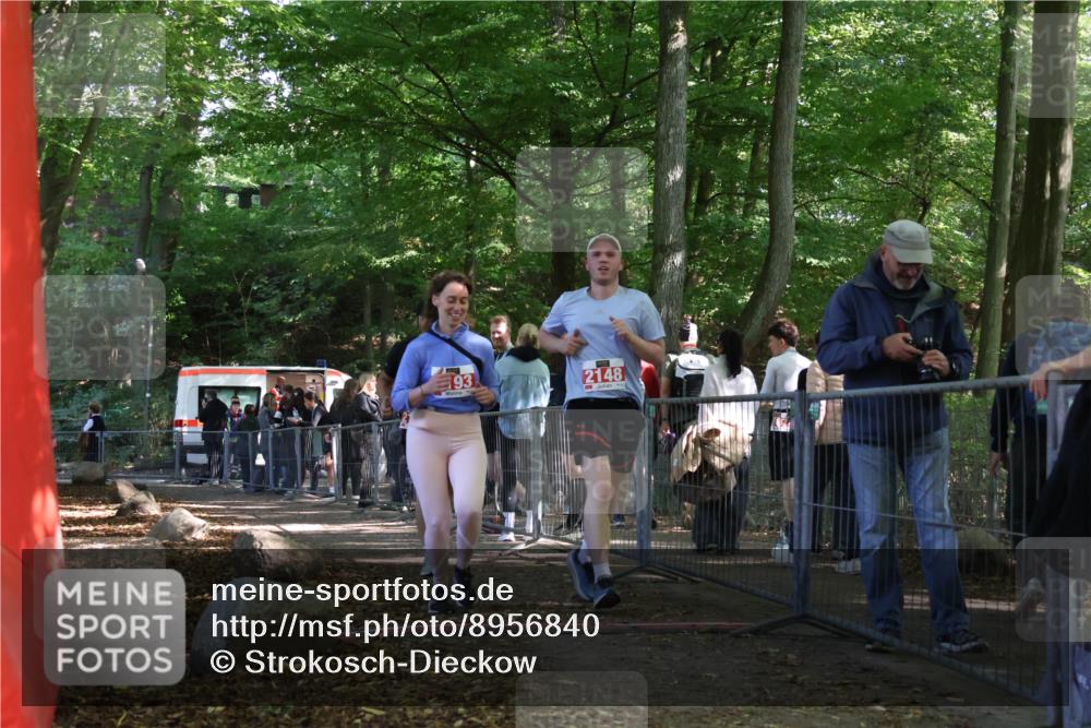 28.09.2025 - 33. Volkslauf durch das schöne Alstertal Strokosch-Dieckow http://msf.ph/oto/8956840 28.09.2025 12:55:19 Ziel 2122, 2148, 2193 meine-sportfotos.de
