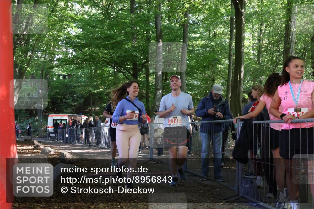 28.09.2025 - 33. Volkslauf durch das schöne Alstertal Strokosch-Dieckow http://msf.ph/oto/8956843 28.09.2025 12:55:20 Ziel 2122, 2148, 2193 meine-sportfotos.de