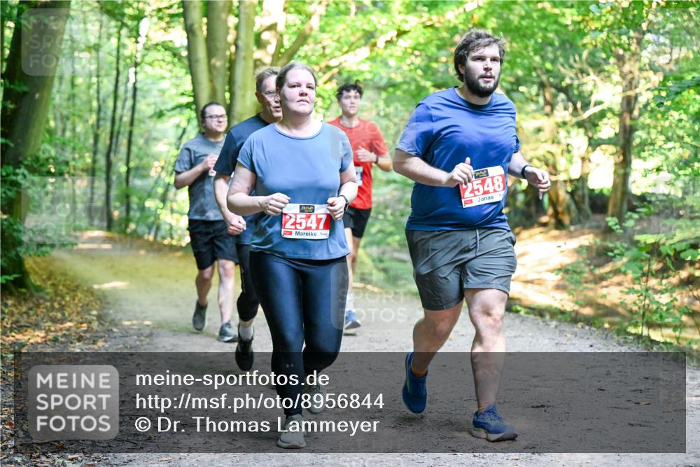 28.09.2025 - 33. Volkslauf durch das schöne Alstertal Dr. Thomas Lammeyer http://msf.ph/oto/8956844 28.09.2025 10:46:12 Laufen 2547, 200, 2548 meine-sportfotos.de