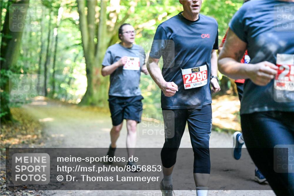 28.09.2025 - 33. Volkslauf durch das schöne Alstertal Dr. Thomas Lammeyer http://msf.ph/oto/8956853 28.09.2025 10:46:13 Laufen 2296 meine-sportfotos.de