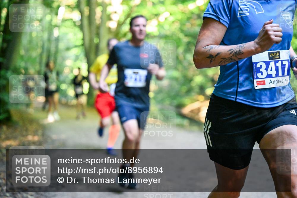 28.09.2025 - 33. Volkslauf durch das schöne Alstertal Dr. Thomas Lammeyer http://msf.ph/oto/8956894 28.09.2025 10:46:25 Laufen 13417 meine-sportfotos.de
