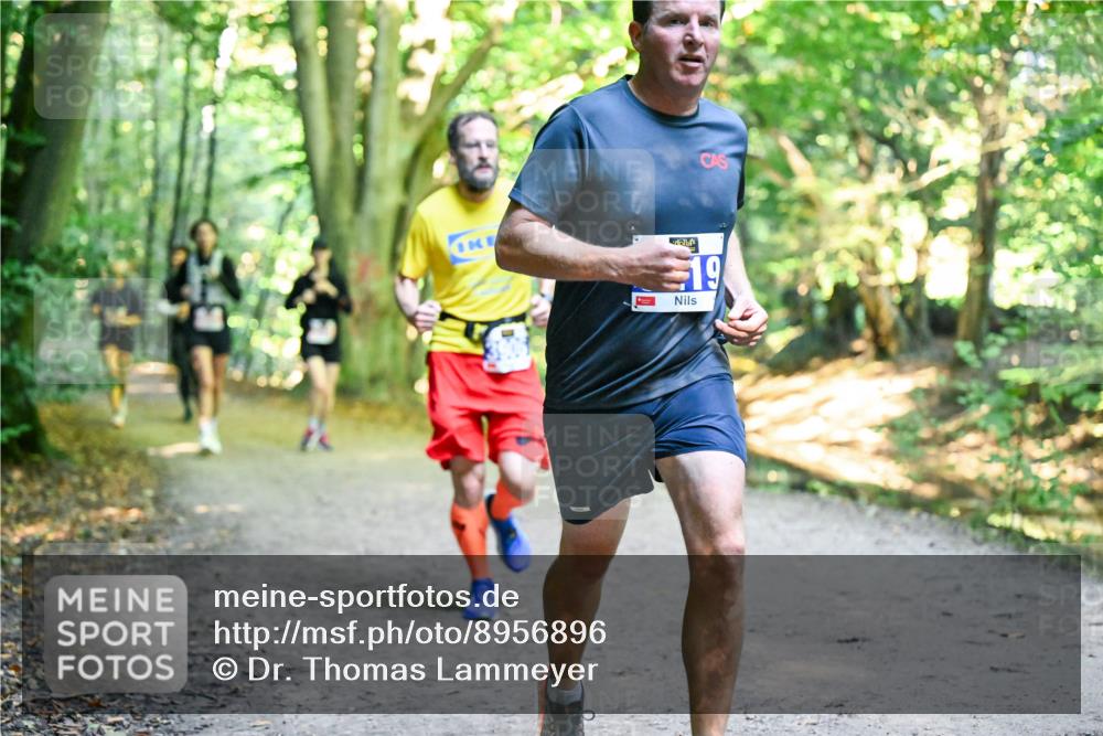 28.09.2025 - 33. Volkslauf durch das schöne Alstertal Dr. Thomas Lammeyer http://msf.ph/oto/8956896 28.09.2025 10:46:26 Laufen 0, 19 meine-sportfotos.de