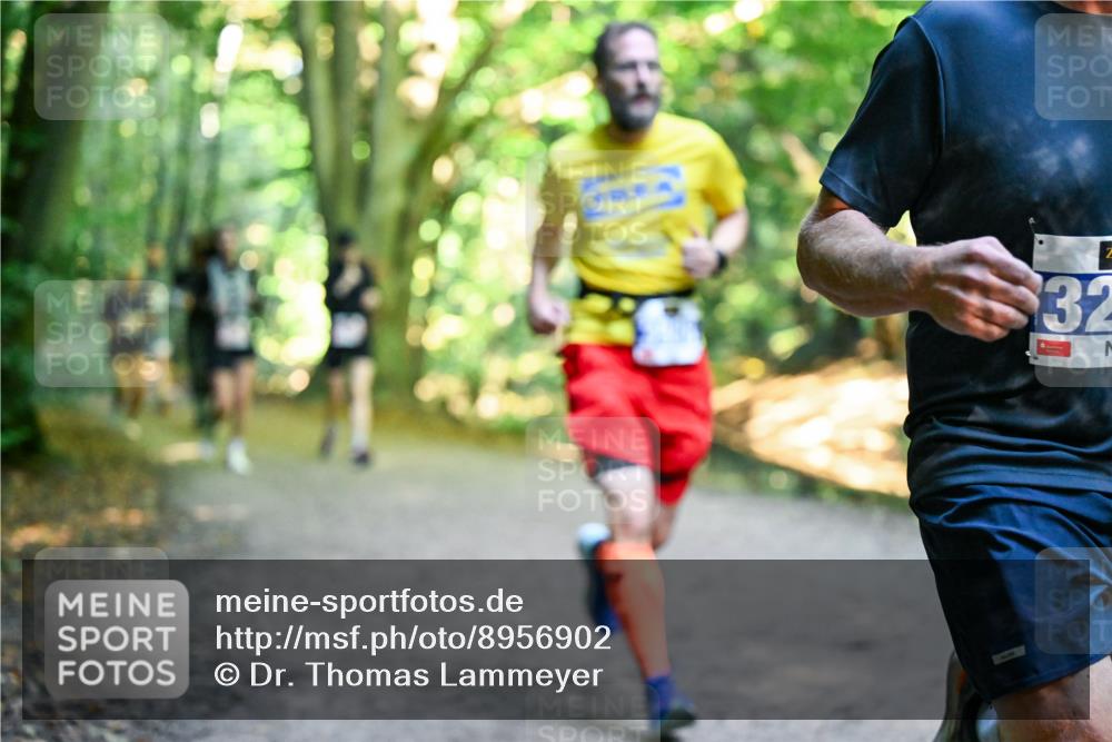28.09.2025 - 33. Volkslauf durch das schöne Alstertal Dr. Thomas Lammeyer http://msf.ph/oto/8956902 28.09.2025 10:46:26 Laufen 2, 32 meine-sportfotos.de