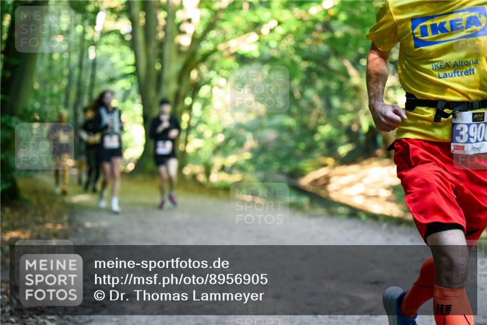 28.09.2025 - 33. Volkslauf durch das schöne Alstertal Dr. Thomas Lammeyer http://msf.ph/oto/8956905 28.09.2025 10:46:27 Laufen 390 meine-sportfotos.de