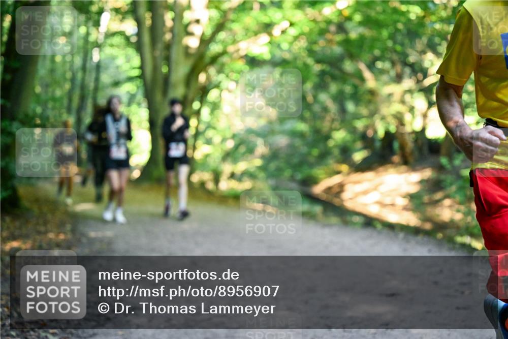 28.09.2025 - 33. Volkslauf durch das schöne Alstertal Dr. Thomas Lammeyer http://msf.ph/oto/8956907 28.09.2025 10:46:27 Laufen  meine-sportfotos.de