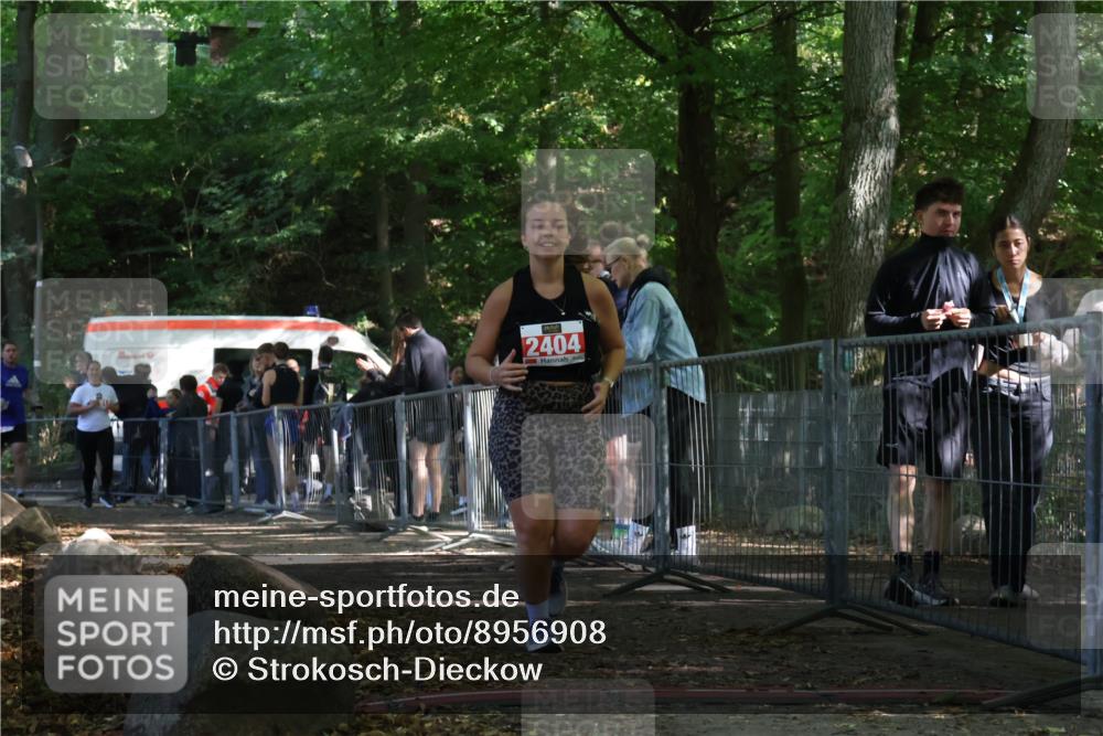 28.09.2025 - 33. Volkslauf durch das schöne Alstertal Strokosch-Dieckow http://msf.ph/oto/8956908 28.09.2025 12:58:45 Ziel 2291, 2404 meine-sportfotos.de