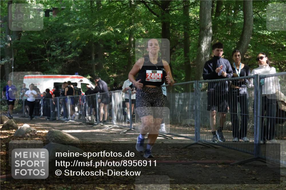 28.09.2025 - 33. Volkslauf durch das schöne Alstertal Strokosch-Dieckow http://msf.ph/oto/8956911 28.09.2025 12:58:46 Ziel 2291, 2404 meine-sportfotos.de