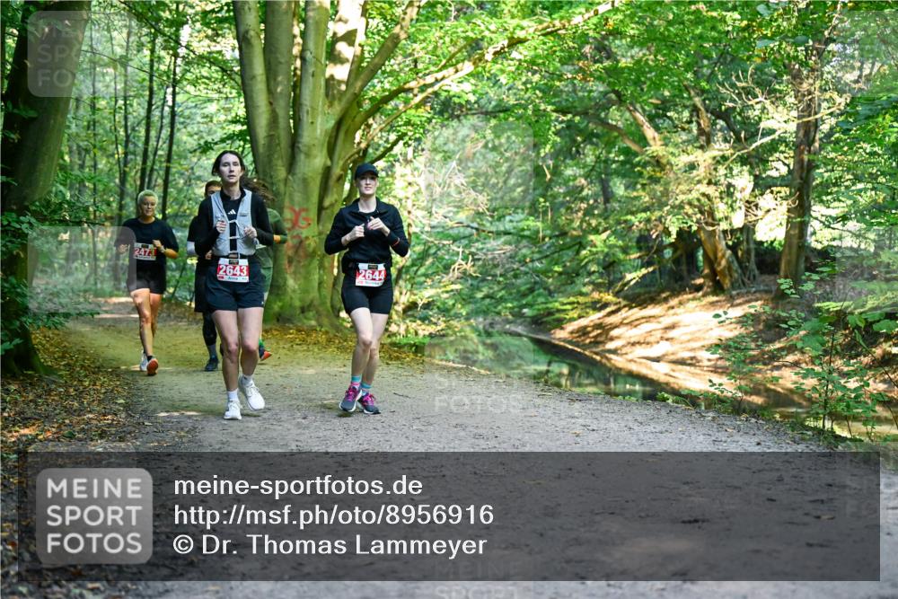 28.09.2025 - 33. Volkslauf durch das schöne Alstertal Dr. Thomas Lammeyer http://msf.ph/oto/8956916 28.09.2025 10:46:28 Laufen 2473, 2643, 2644 meine-sportfotos.de
