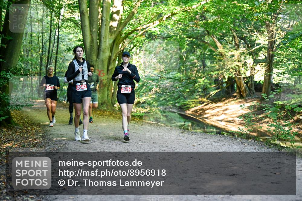 28.09.2025 - 33. Volkslauf durch das schöne Alstertal Dr. Thomas Lammeyer http://msf.ph/oto/8956918 28.09.2025 10:46:28 Laufen 2473, 2643, 1, 2644 meine-sportfotos.de