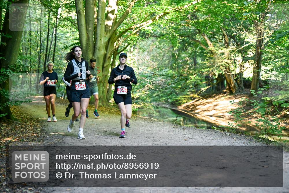 28.09.2025 - 33. Volkslauf durch das schöne Alstertal Dr. Thomas Lammeyer http://msf.ph/oto/8956919 28.09.2025 10:46:28 Laufen 2473, 2643, 3411, 2644 meine-sportfotos.de