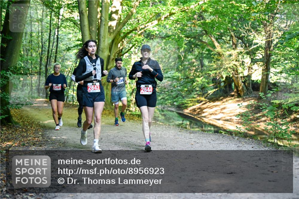 28.09.2025 - 33. Volkslauf durch das schöne Alstertal Dr. Thomas Lammeyer http://msf.ph/oto/8956923 28.09.2025 10:46:29 Laufen 2473, 2643, 411, 2644 meine-sportfotos.de