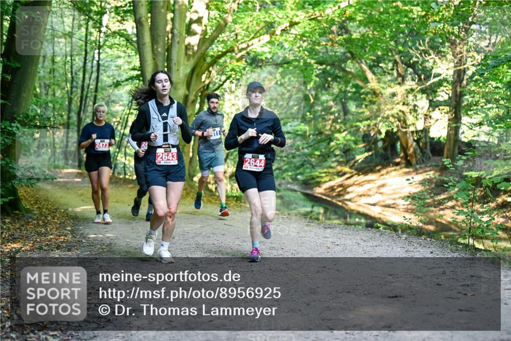 28.09.2025 - 33. Volkslauf durch das schöne Alstertal Dr. Thomas Lammeyer http://msf.ph/oto/8956925 28.09.2025 10:46:29 Laufen 2473, 2643, 2644 meine-sportfotos.de