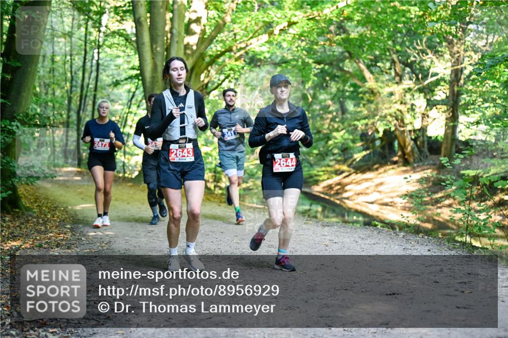 28.09.2025 - 33. Volkslauf durch das schöne Alstertal Dr. Thomas Lammeyer http://msf.ph/oto/8956929 28.09.2025 10:46:30 Laufen 2473, 2643, 2644 meine-sportfotos.de