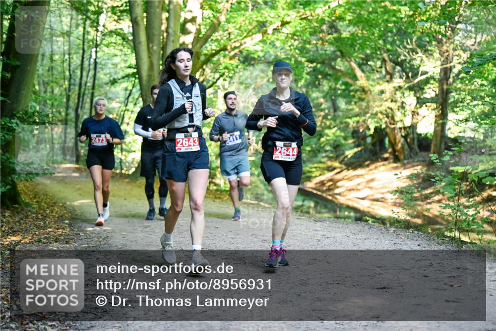 28.09.2025 - 33. Volkslauf durch das schöne Alstertal Dr. Thomas Lammeyer http://msf.ph/oto/8956931 28.09.2025 10:46:30 Laufen 2473, 2643, 2644 meine-sportfotos.de