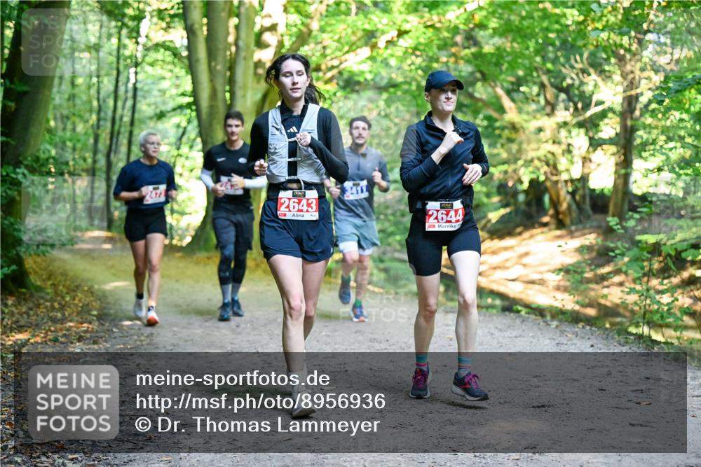 28.09.2025 - 33. Volkslauf durch das schöne Alstertal Dr. Thomas Lammeyer http://msf.ph/oto/8956936 28.09.2025 10:46:30 Laufen 2472, 2643, 2644 meine-sportfotos.de