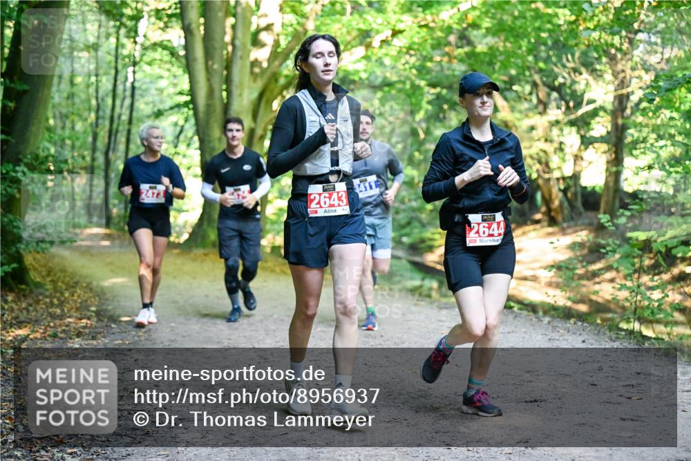 28.09.2025 - 33. Volkslauf durch das schöne Alstertal Dr. Thomas Lammeyer http://msf.ph/oto/8956937 28.09.2025 10:46:31 Laufen 2473, 2643, 3411, 2644 meine-sportfotos.de